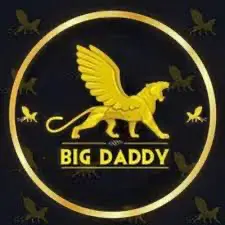 BDGwin